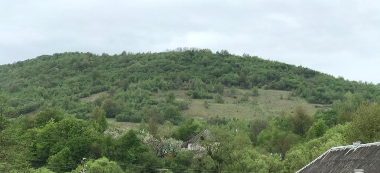Квітковий Двір Golubinoye Exterior foto